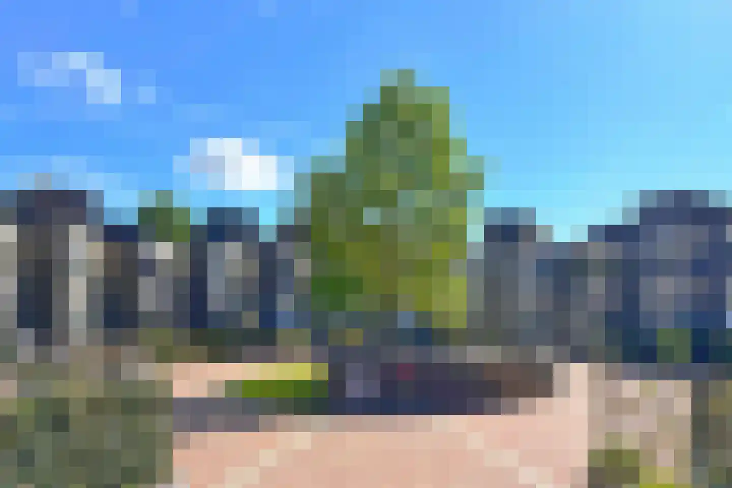 Bosleeuwerik 50 Eindhoven thumbnail 27