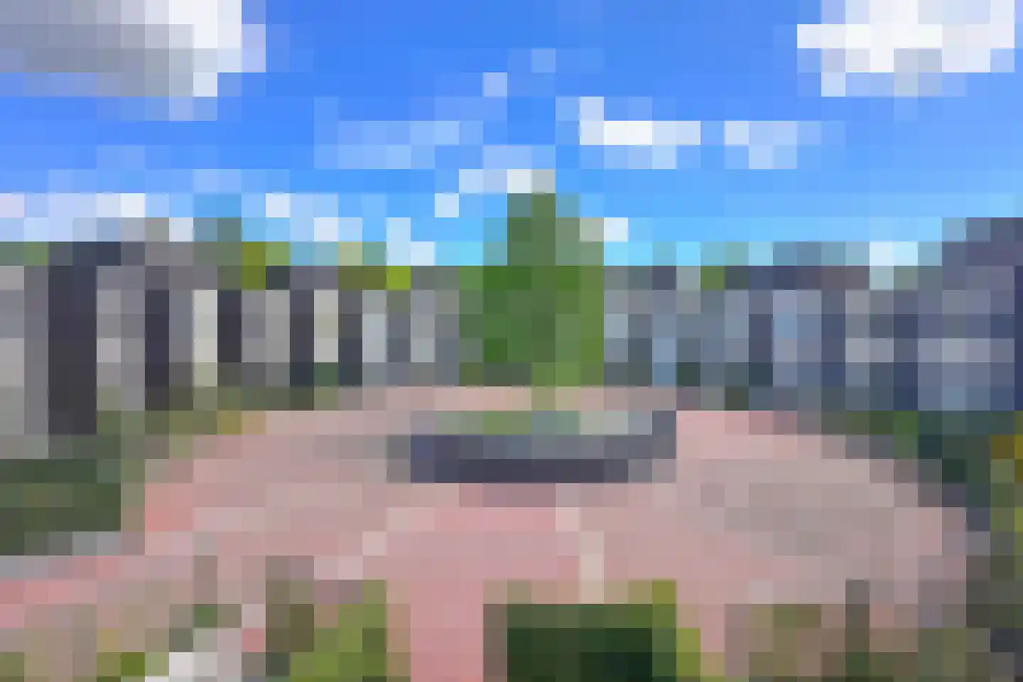 Bosleeuwerik 50 Eindhoven thumbnail 28