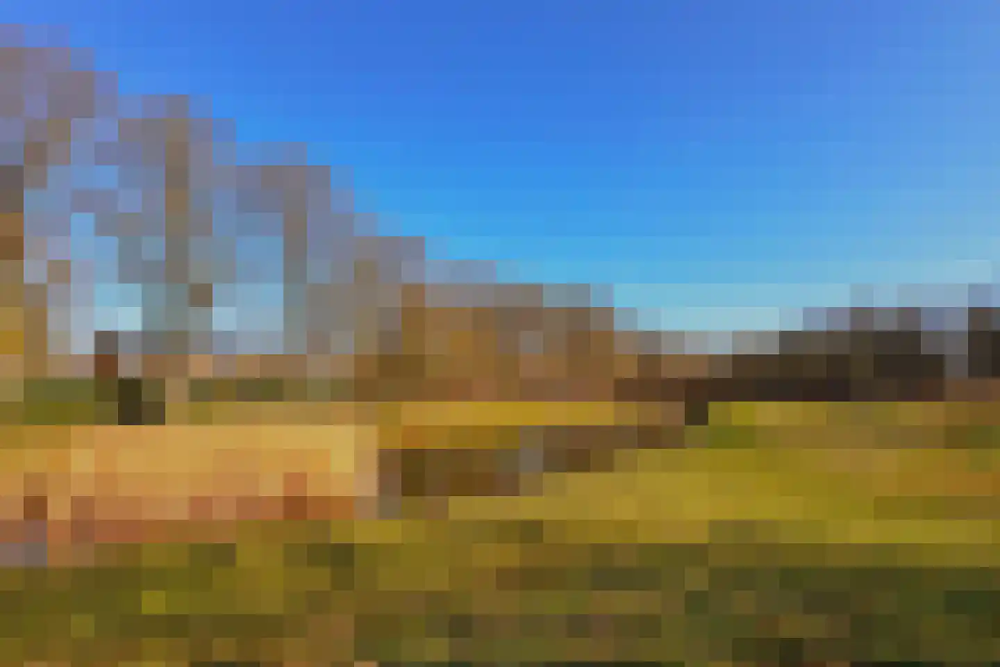 Bosleeuwerik 50 Eindhoven thumbnail 34