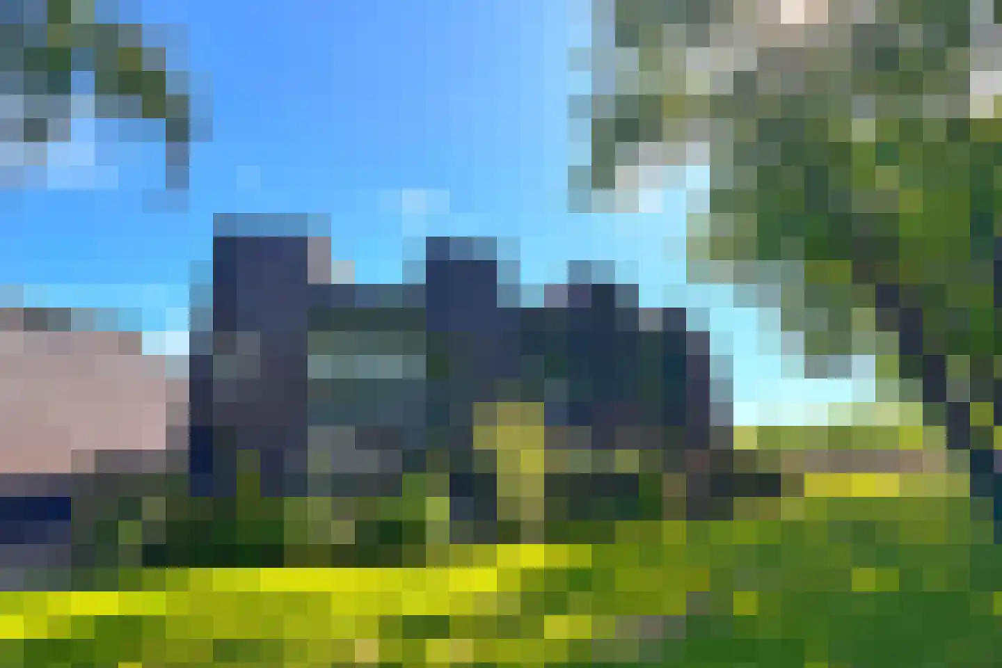 Bosleeuwerik 50 Eindhoven thumbnail 4