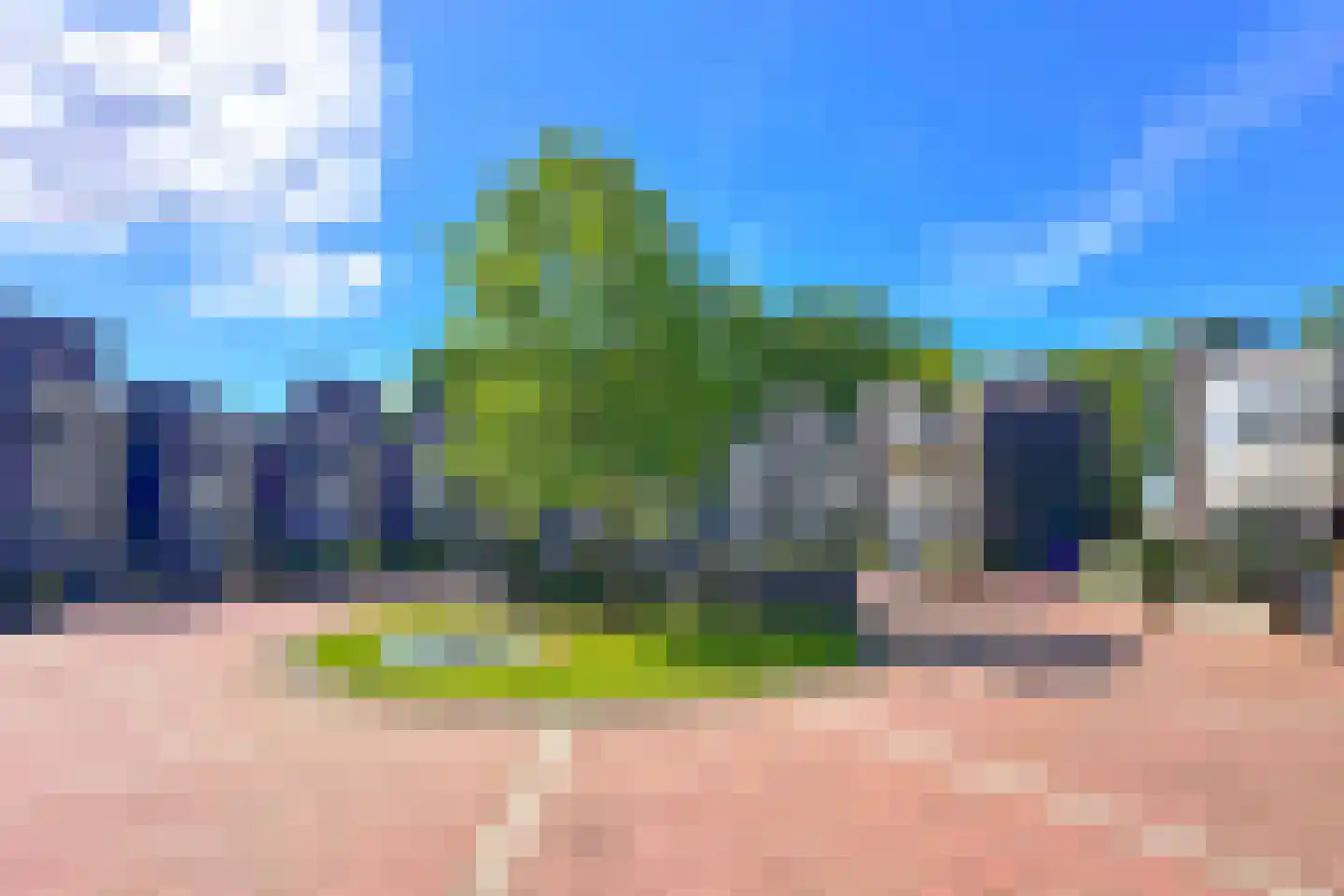 Bosleeuwerik 50 Eindhoven thumbnail 5