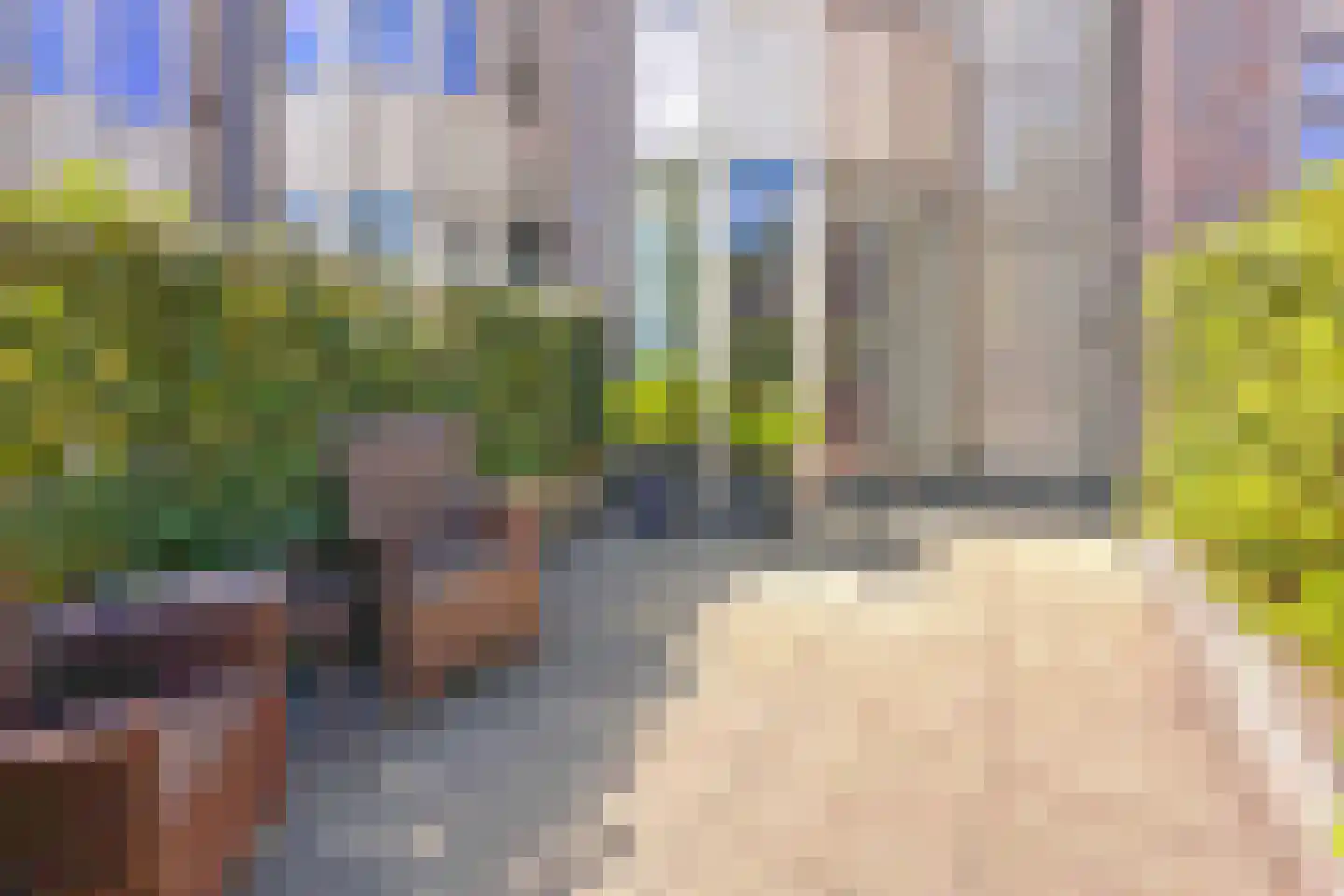 Bosleeuwerik 50 Eindhoven thumbnail 6