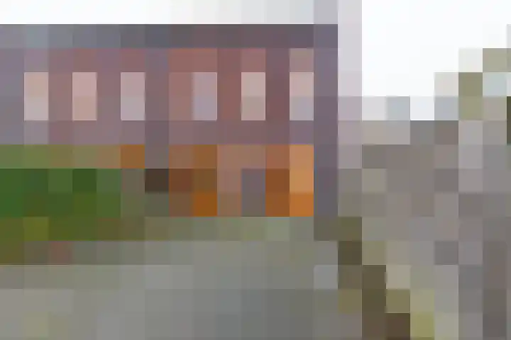 Boslelie 27 Assen thumbnail 20