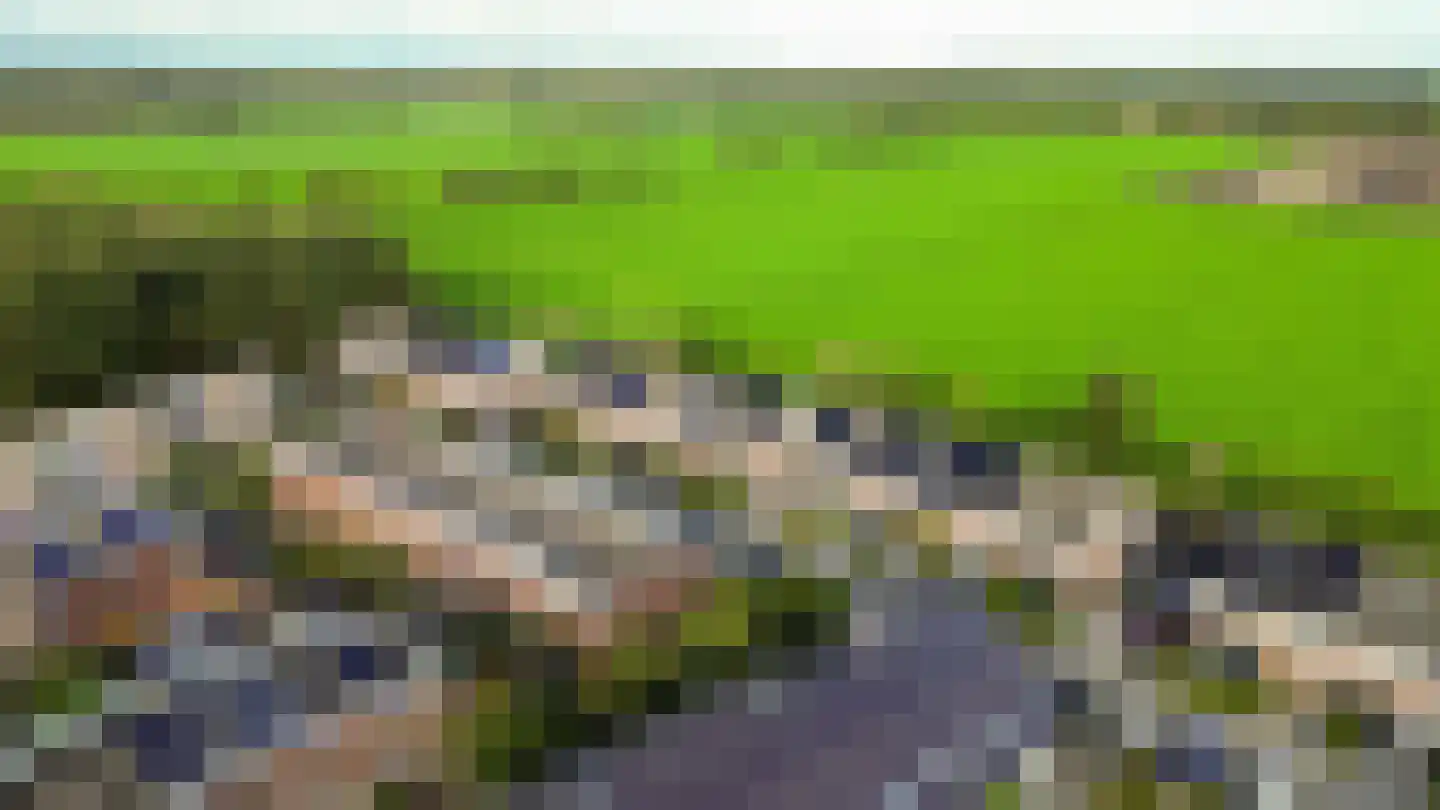Boslelie 50 Assen thumbnail 10