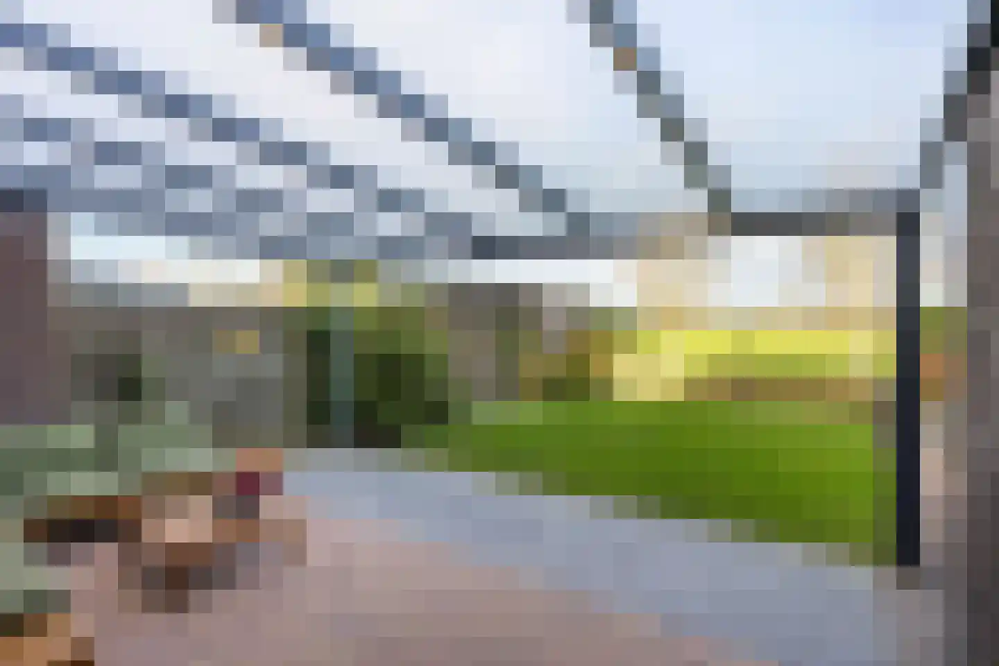 Boslelie 50 Assen thumbnail 48