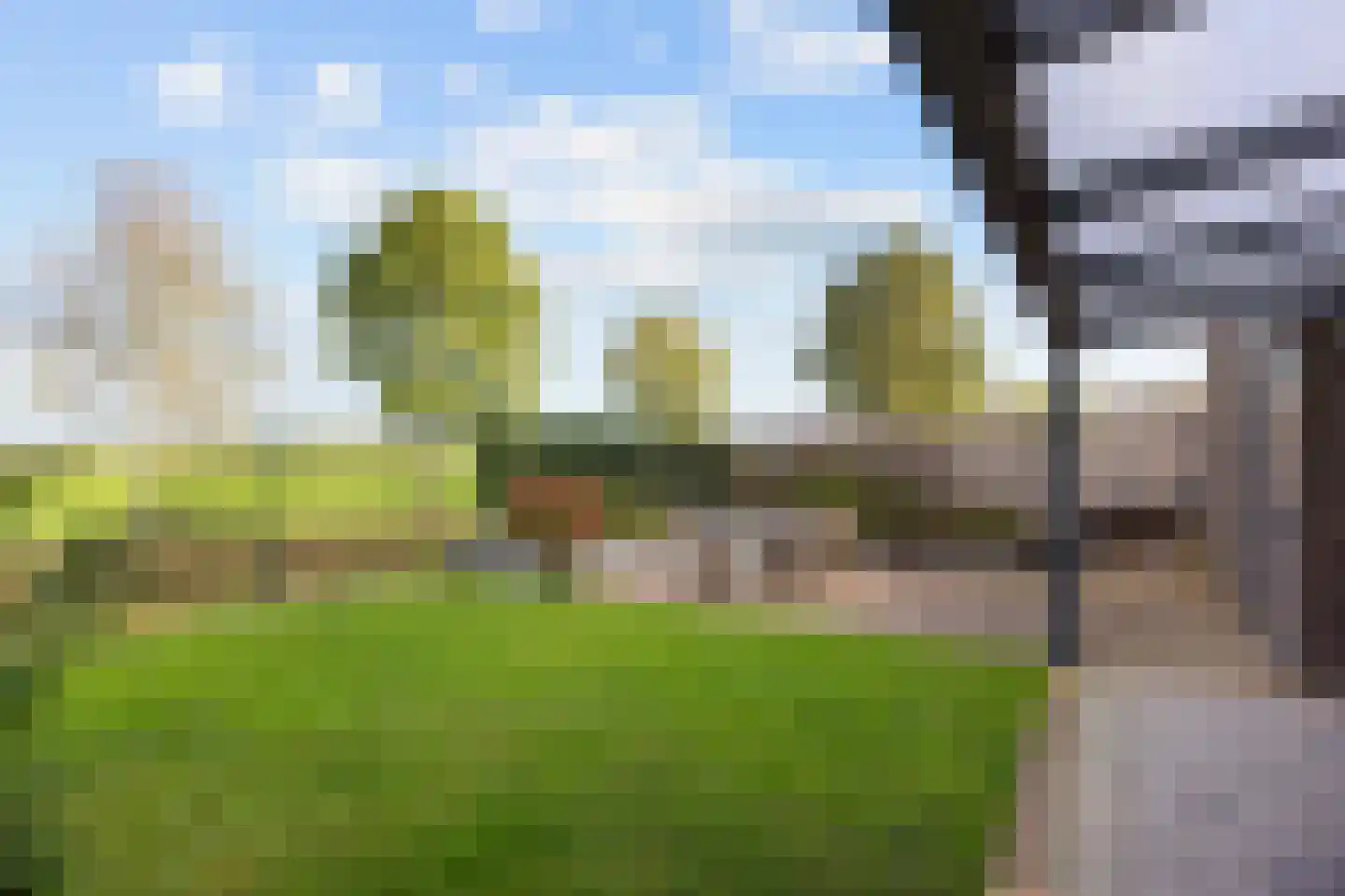 Boslelie 50 Assen thumbnail 50