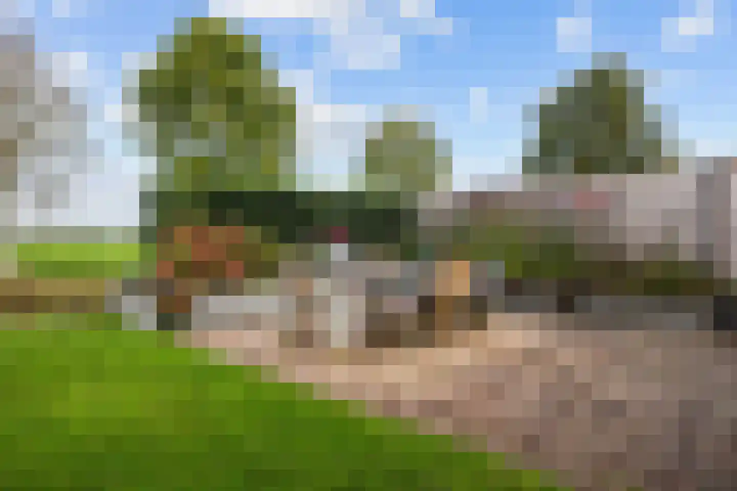 Boslelie 50 Assen thumbnail 51
