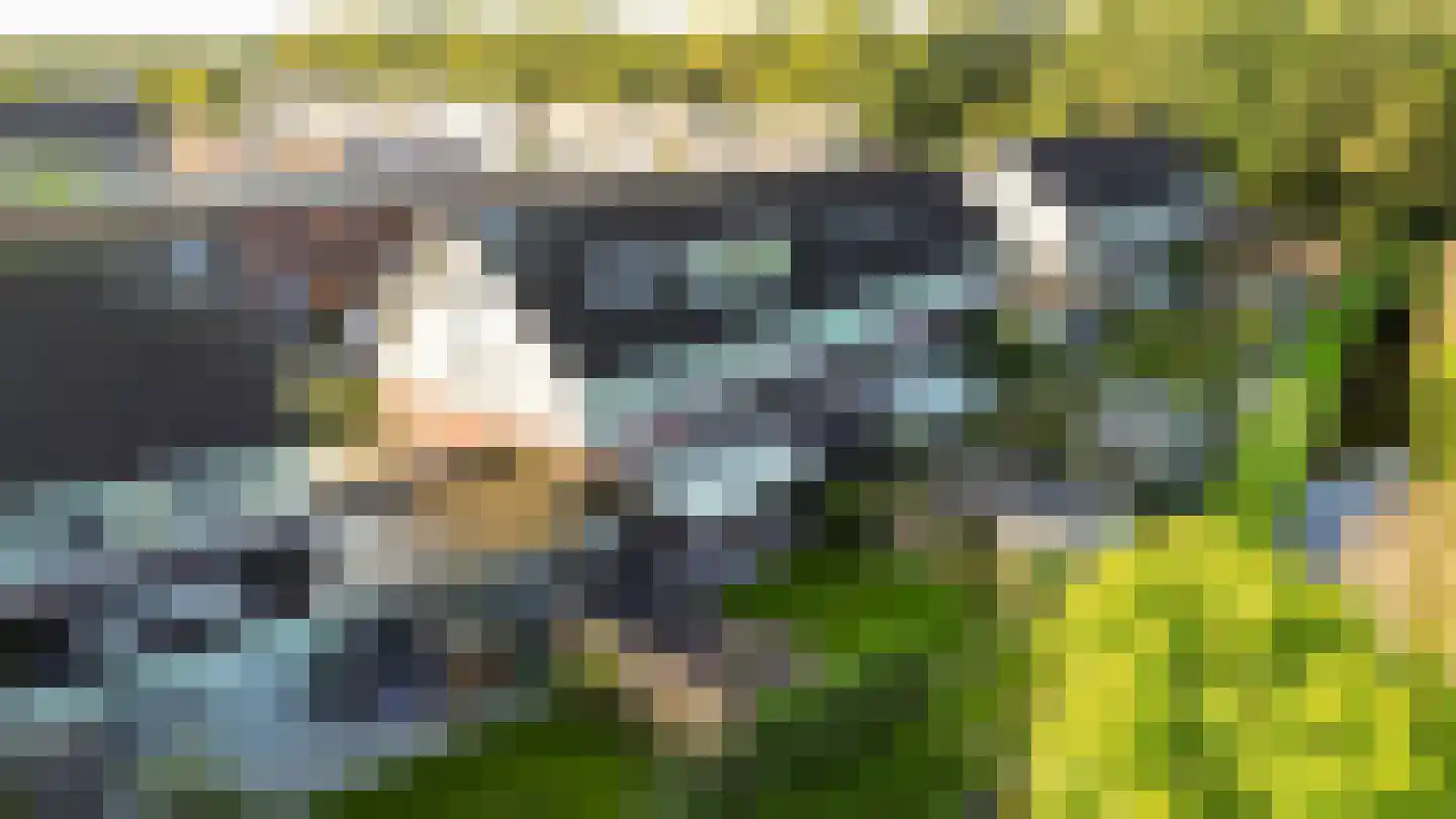 Boslelie 50 Assen thumbnail 62