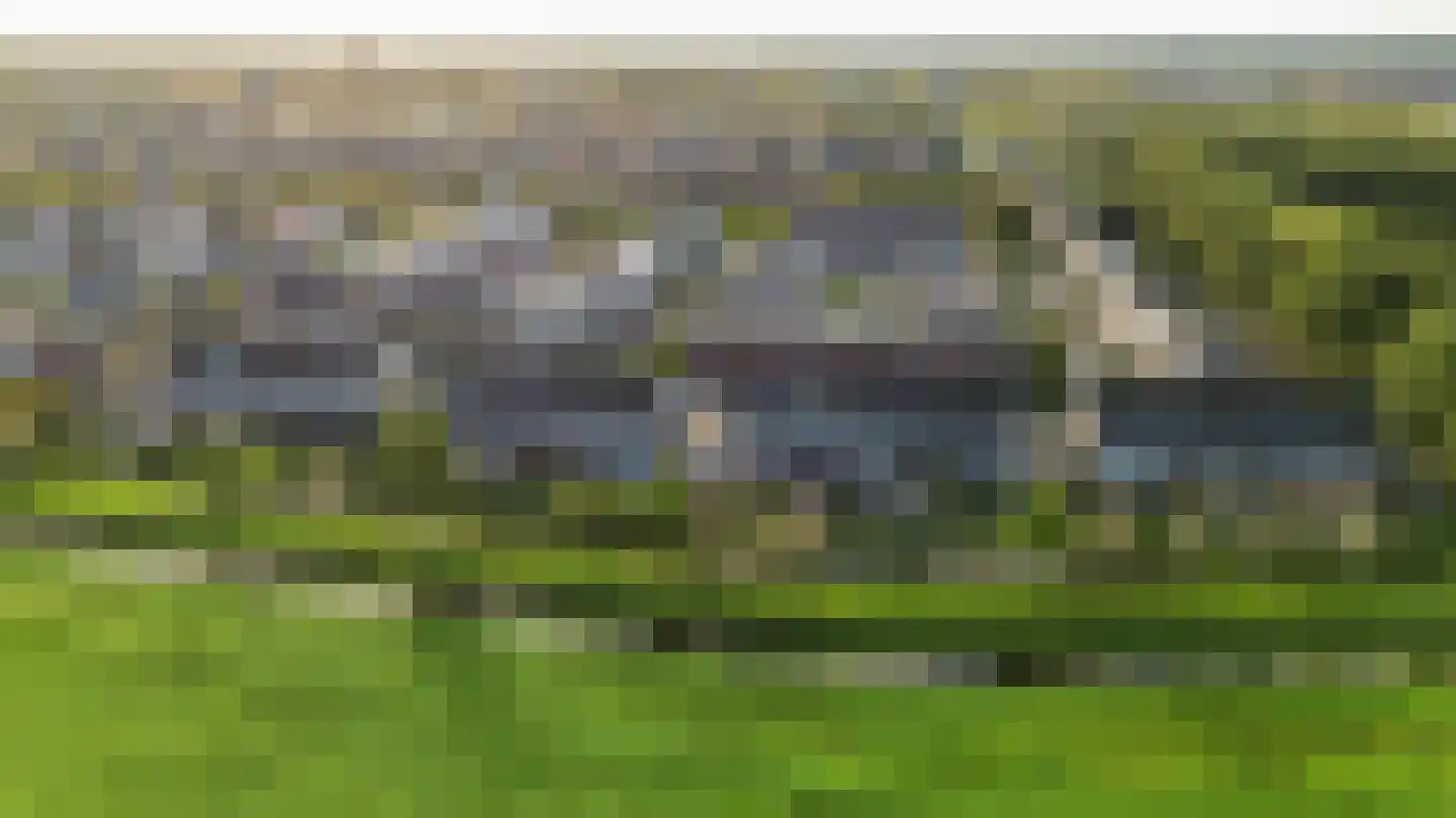 Boslelie 50 Assen thumbnail 64