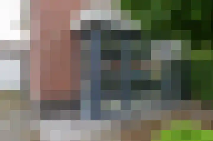 Boslelie 58 Assen thumbnail 10