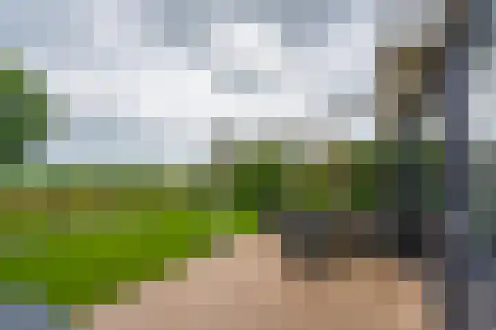 Boslelie 58 Assen thumbnail 37