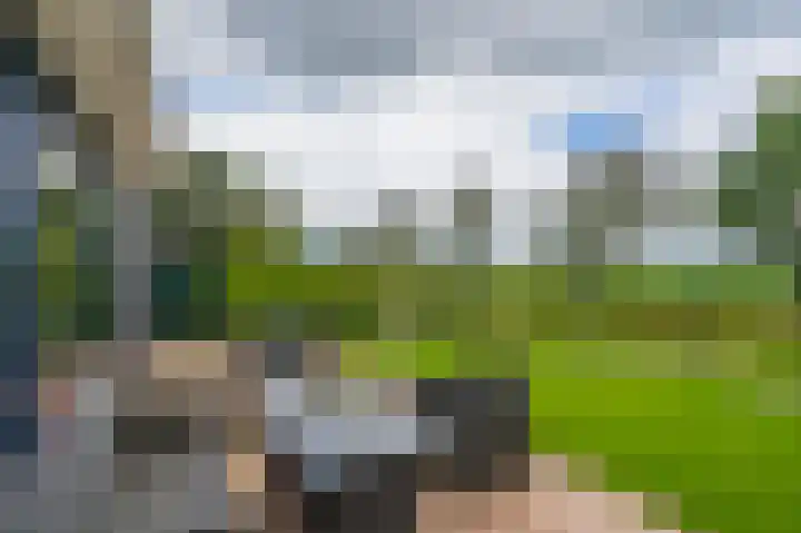 Boslelie 58 Assen thumbnail 38