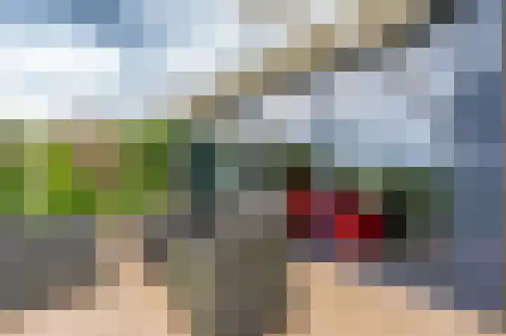 Boslelie 58 Assen thumbnail 41