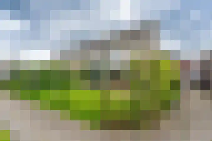 Boslelie 58 Assen thumbnail 43