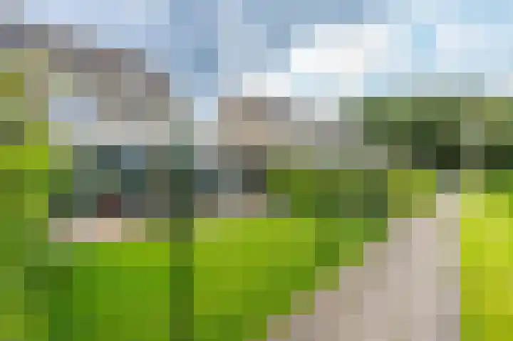 Boslelie 58 Assen thumbnail 44