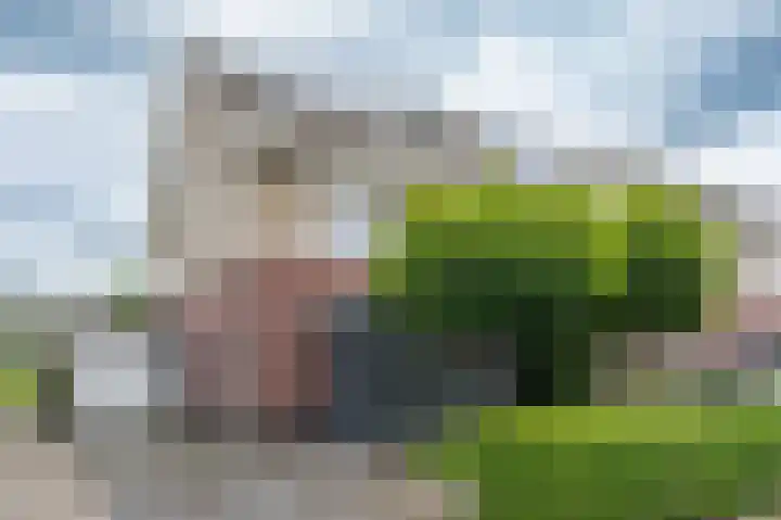 Boslelie 58 Assen thumbnail 6