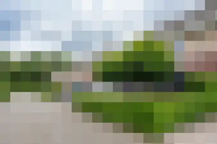 Boslelie 58 Assen thumbnail 7
