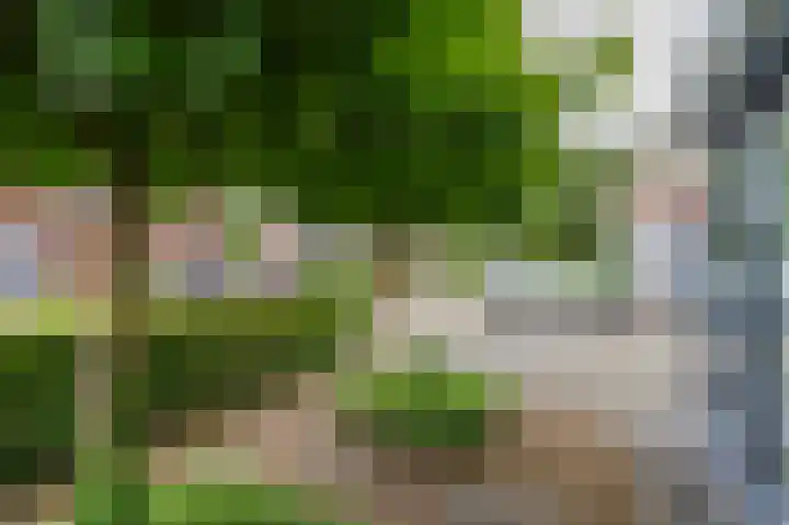 Boslelie 58 Assen thumbnail 9