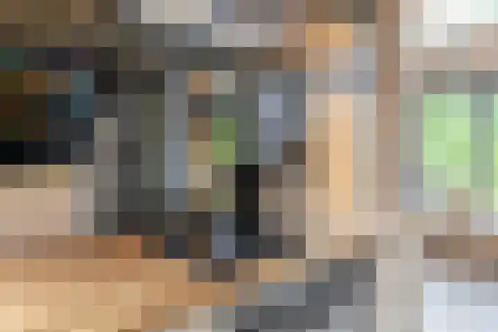 Boslust 28 Eindhoven thumbnail 18