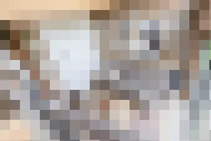 Boslust 28 Eindhoven thumbnail 23