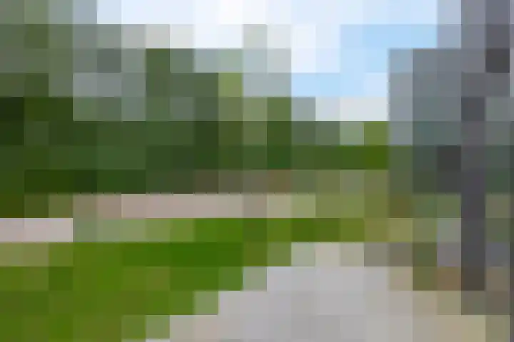 Boslust 28 Eindhoven thumbnail 32