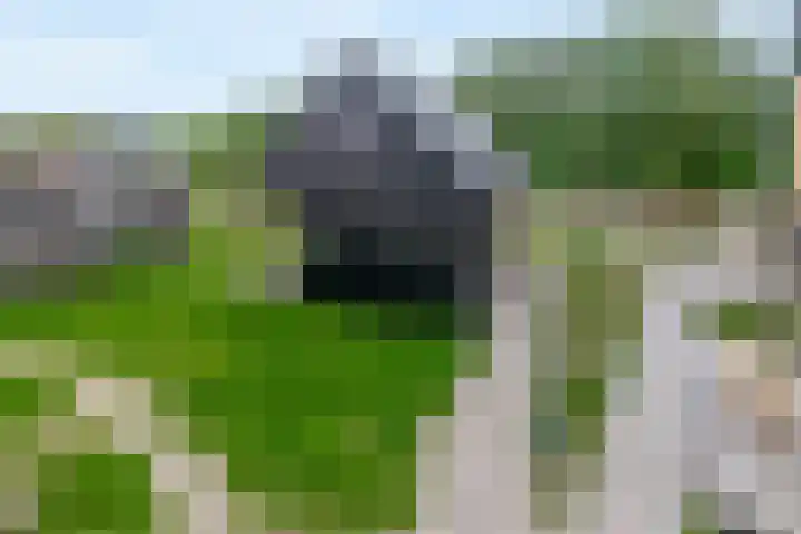 Boslust 28 Eindhoven thumbnail 6