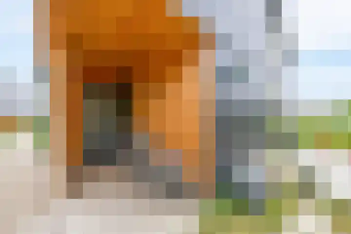 Boslust 28 Eindhoven thumbnail 8