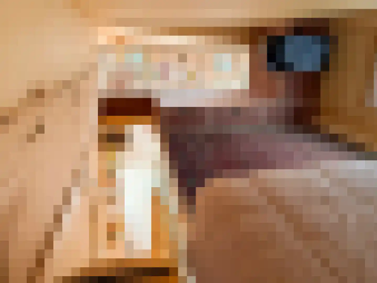 Boslust 33 Eindhoven thumbnail 15
