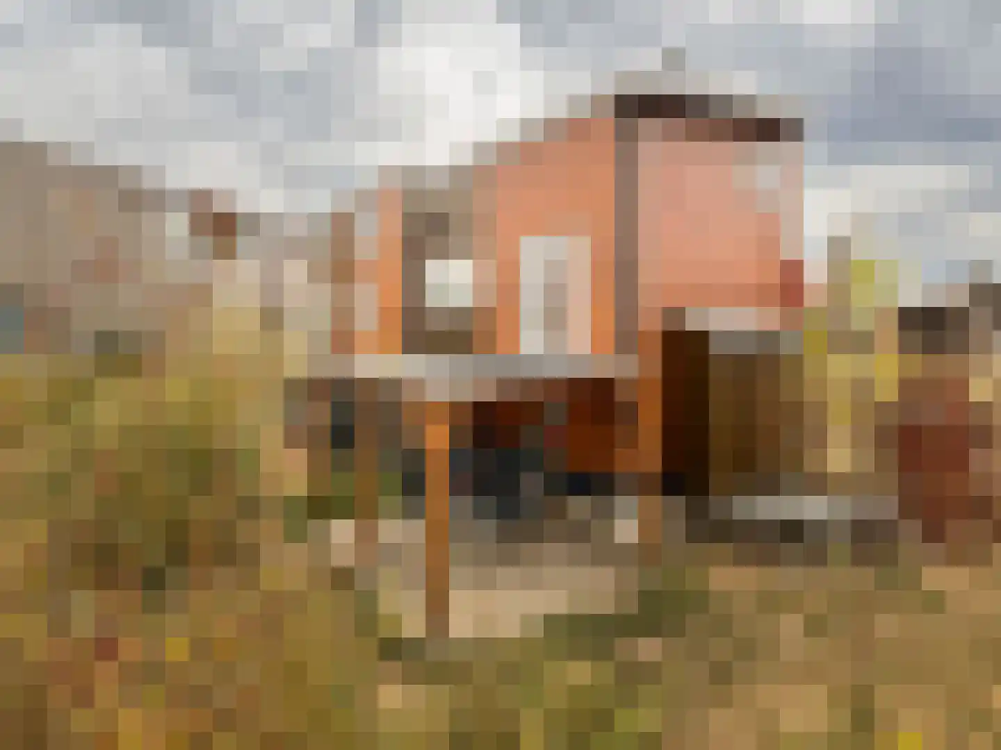 Boslust 33 Eindhoven thumbnail 27