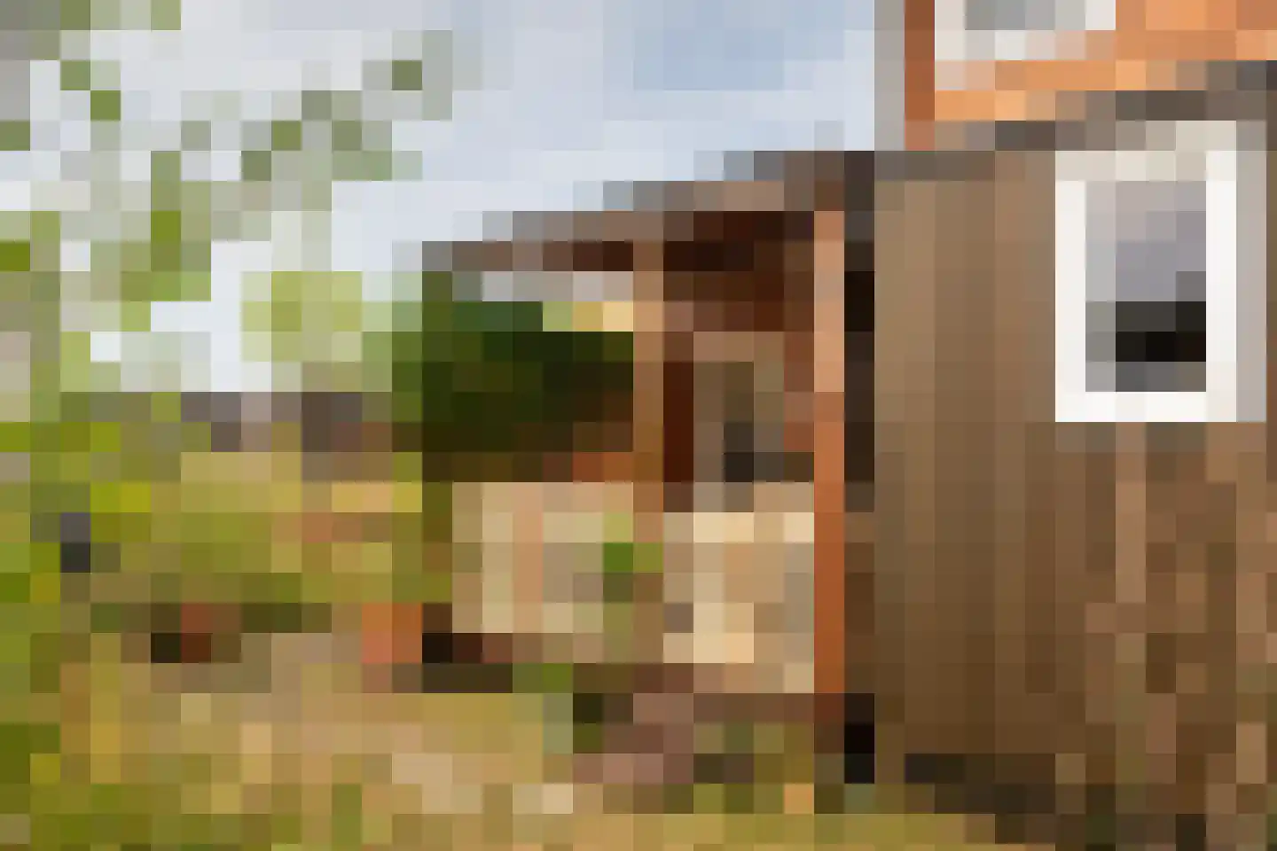 Boslust 33 Eindhoven thumbnail 28