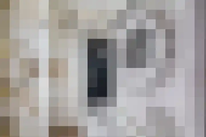 Boslust 4 Eindhoven thumbnail 31