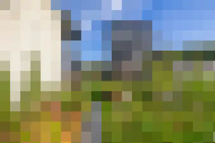 Boslust 4 Eindhoven thumbnail 39