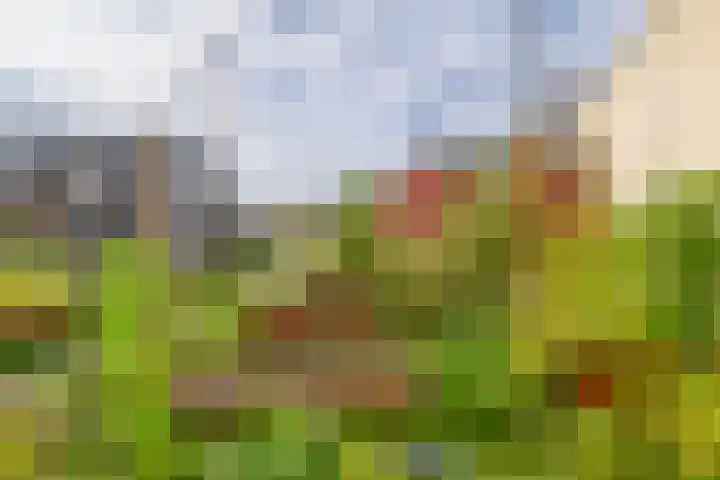 Boslust 4 Eindhoven thumbnail 4