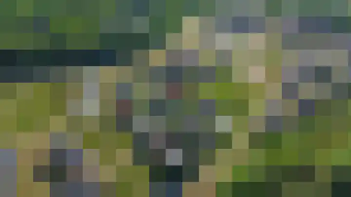 Boslust 4 Eindhoven thumbnail 43