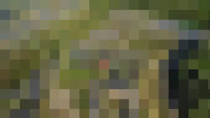 Boslust 4 Eindhoven thumbnail 49