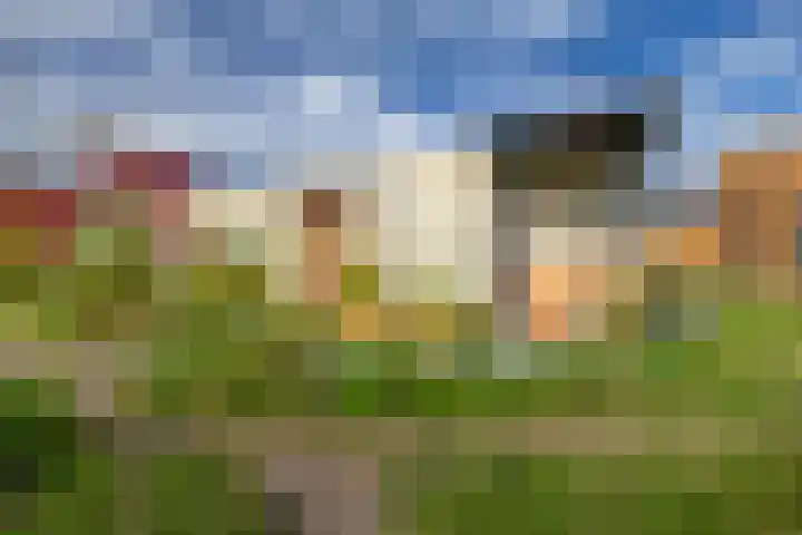 Boslust 4 Eindhoven thumbnail 7