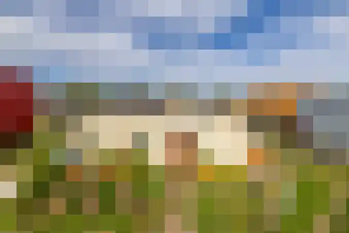 Boslust 4 Eindhoven thumbnail 9