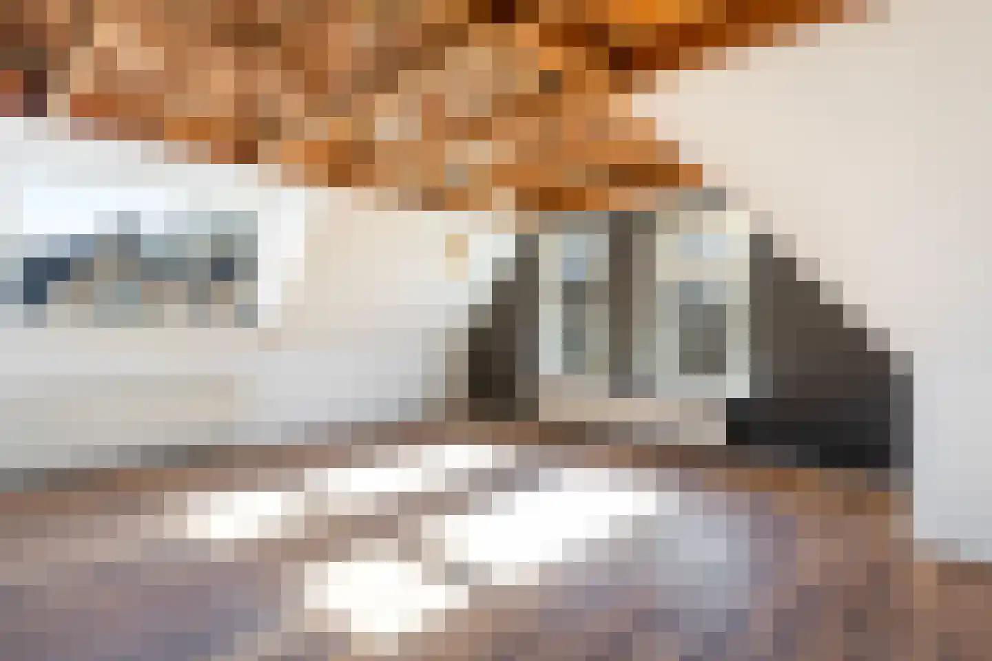 Bosma's Plein 10 Holwert thumbnail 16