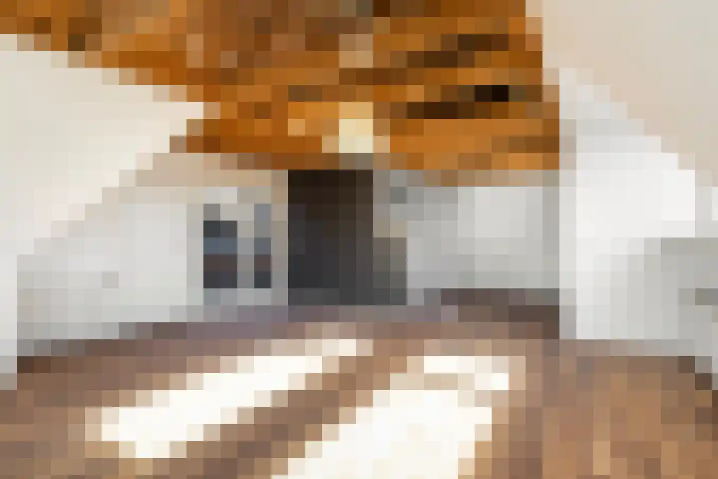 Bosma's Plein 10 Holwert thumbnail 22