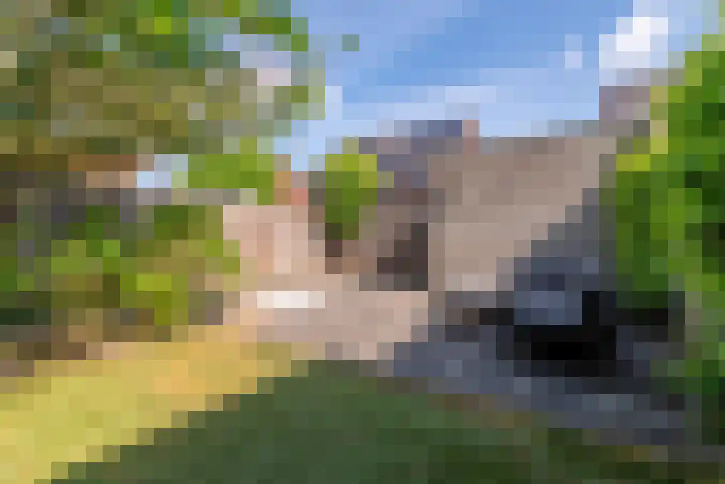Bosmahof 6 Veenendaal thumbnail 40