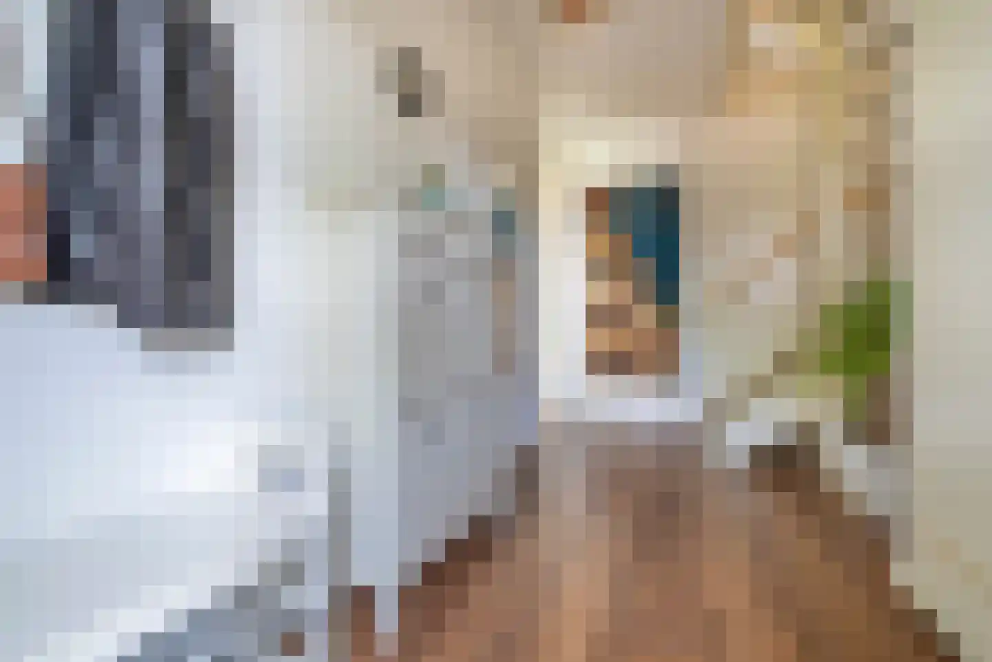 Bosmahof 6 Veenendaal thumbnail 7