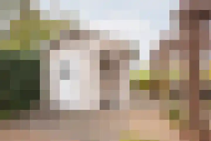 Bosmanslaan 29 Dinxperlo thumbnail 43