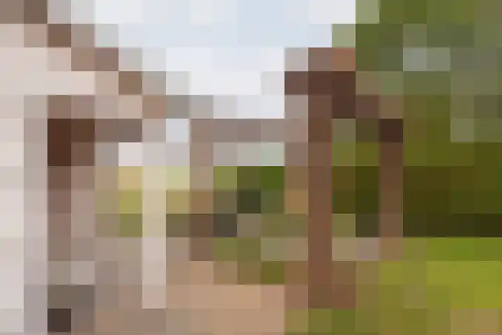 Bosmanslaan 29 Dinxperlo thumbnail 45