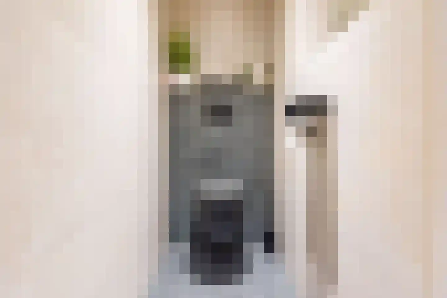 Bosmanslaan 6 Dinxperlo thumbnail 19