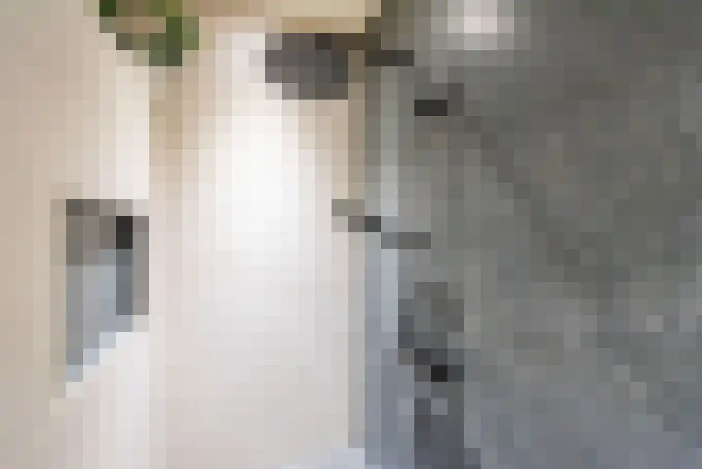 Bosmanslaan 6 Dinxperlo thumbnail 20