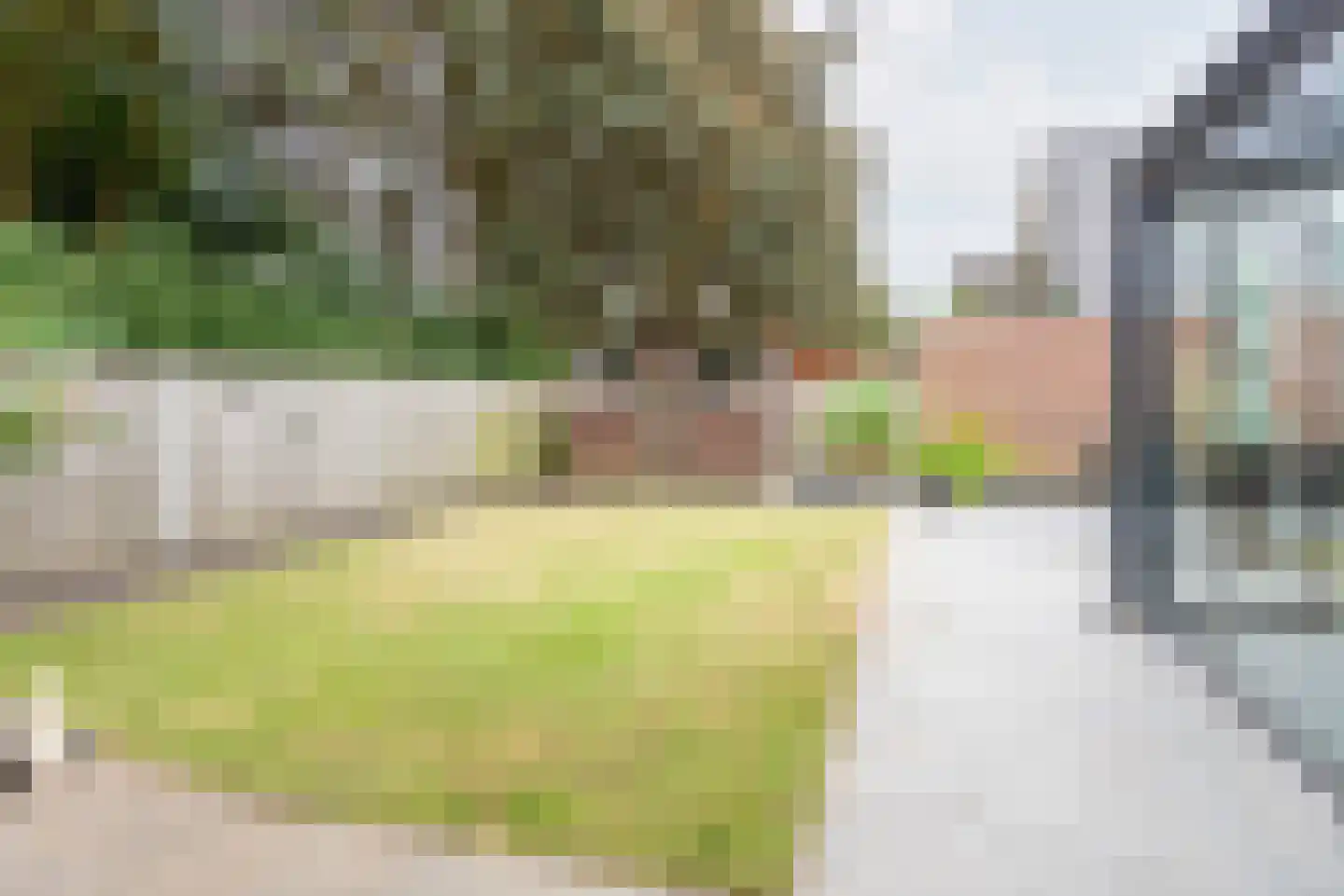 Bosmanslaan 6 Dinxperlo thumbnail 31