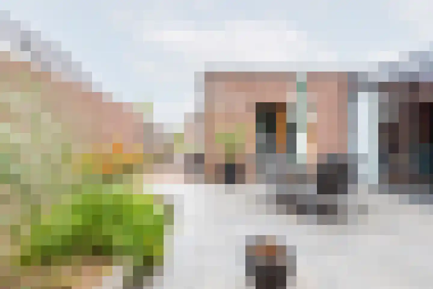 Bosmanslaan 6 Dinxperlo thumbnail 33