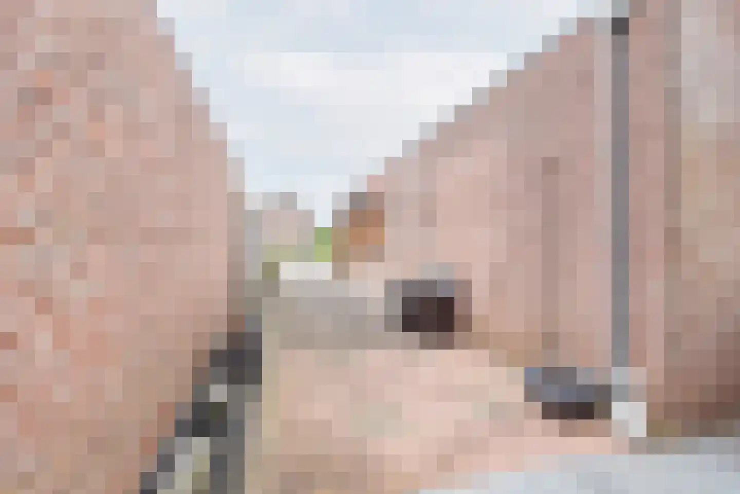 Bosmanslaan 6 Dinxperlo thumbnail 34