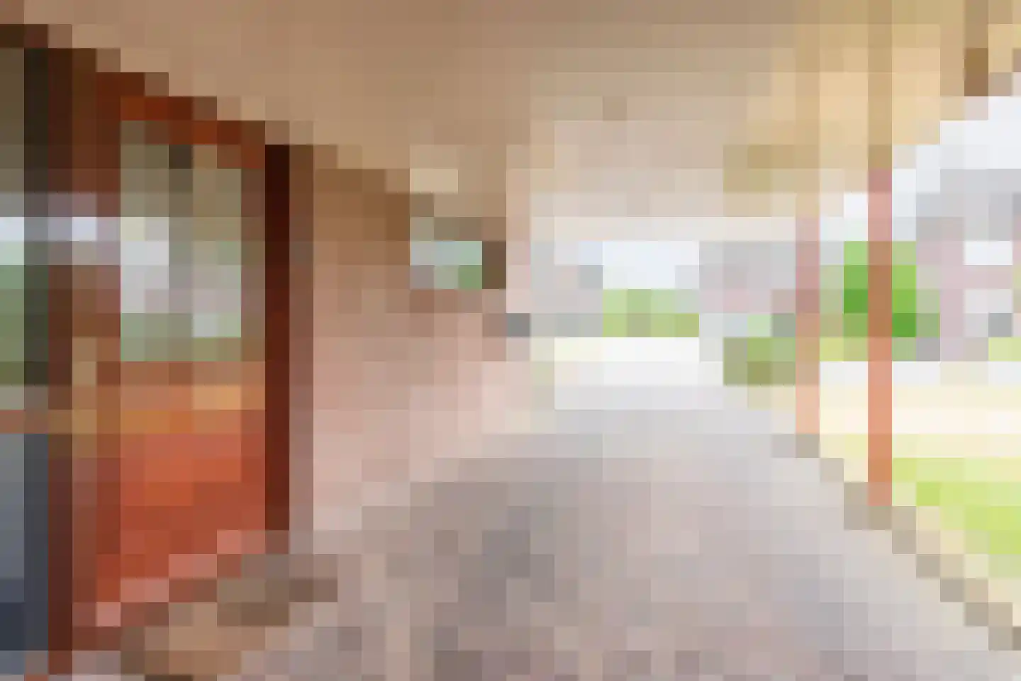 Bosmanslaan 6 Dinxperlo thumbnail 35