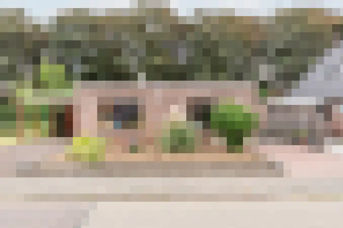 Bosmanslaan 6 Dinxperlo thumbnail 5